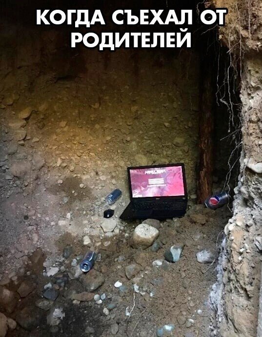 Подборка приколов от людей,только что съехали от родителей (16 фото)