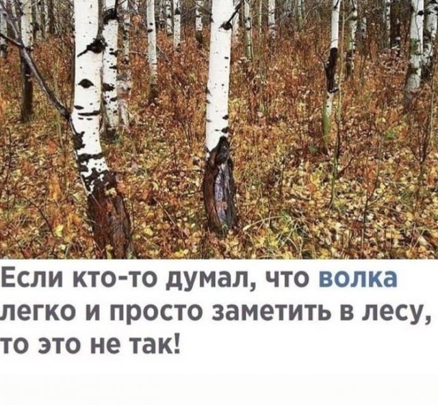 Шутки и мемы из Сети (14 фото)