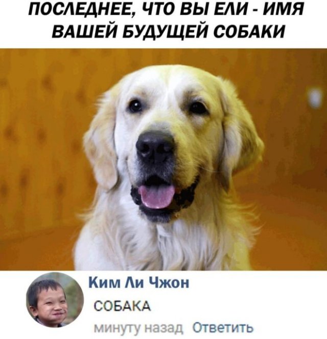 Немного странного и черного юмора (15 фото)