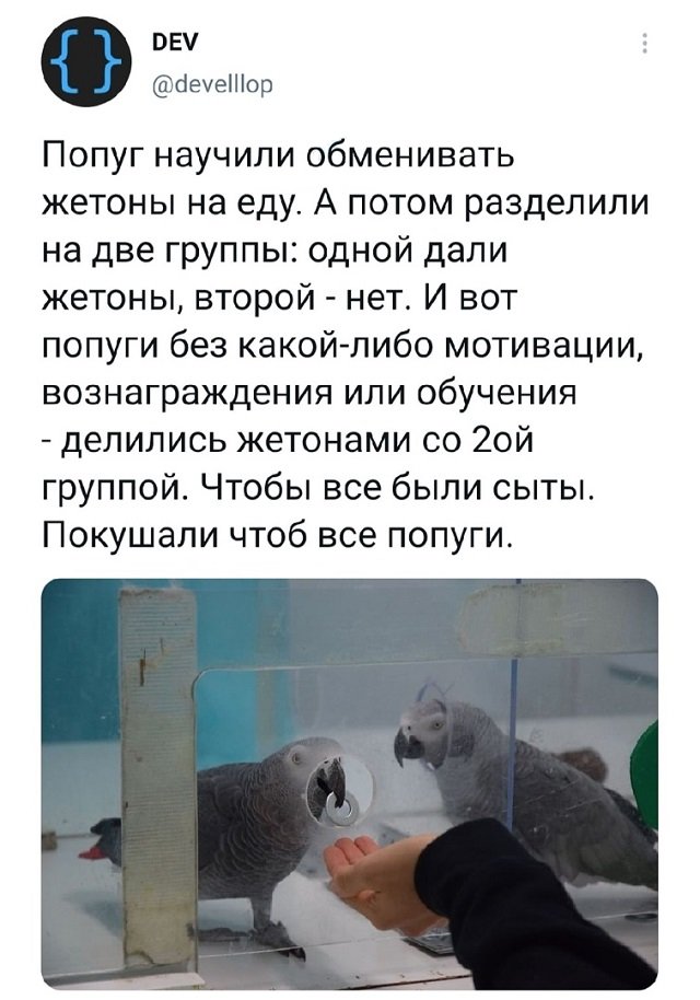 Подборка забавных твитов обо всем (15 фото)