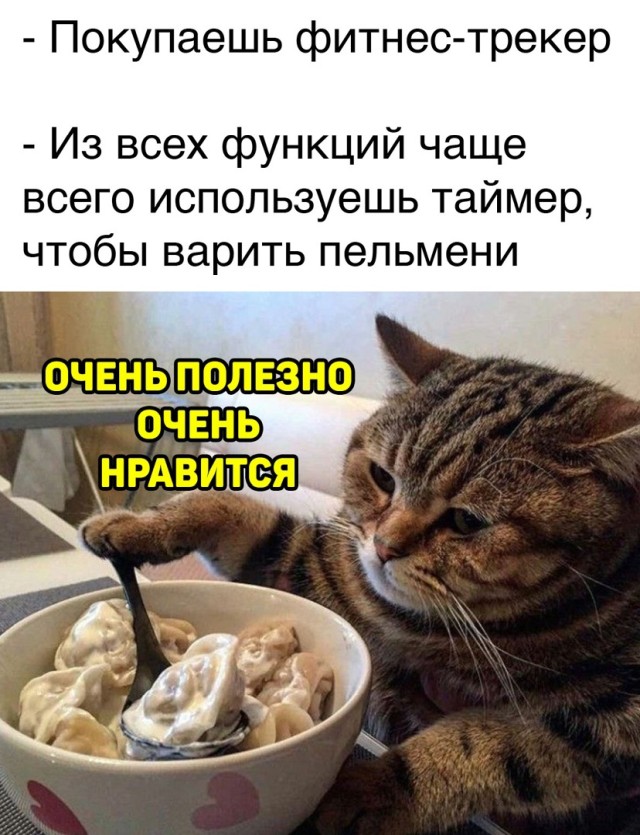 Подборка прикольных фото №2644 (30 фото)