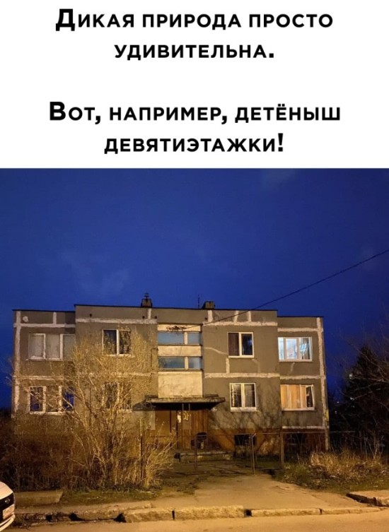 Подборка прикольных фото №2665 (30 фото)