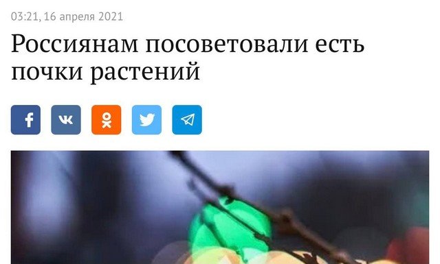 Курьезы в заголовках и описаниях российских и зарубежных СМИ (15 фото)
