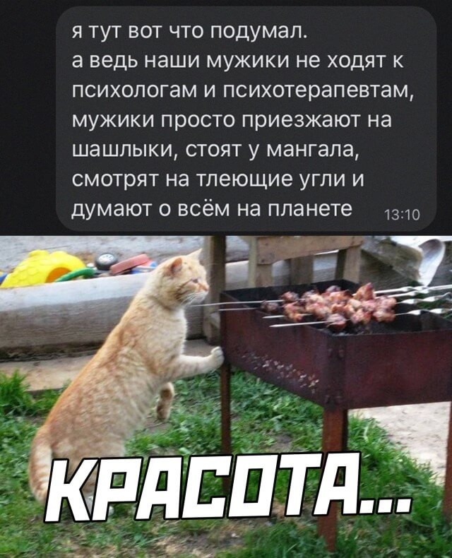 Подборка прикольных фото №2669 (29 фото)