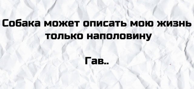 Плохие шутки от пользователей с неважным чувством юмора (14 фото)