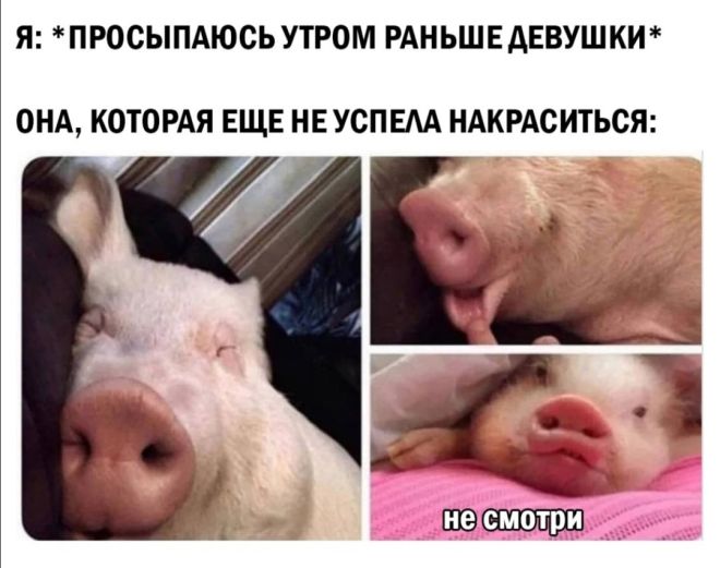 Приколы про девушек (9 фото)