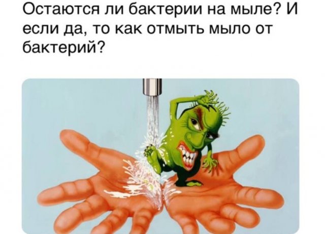 Рассуждения от юных тиктокеров которые плохо учились в школе (15 фото)