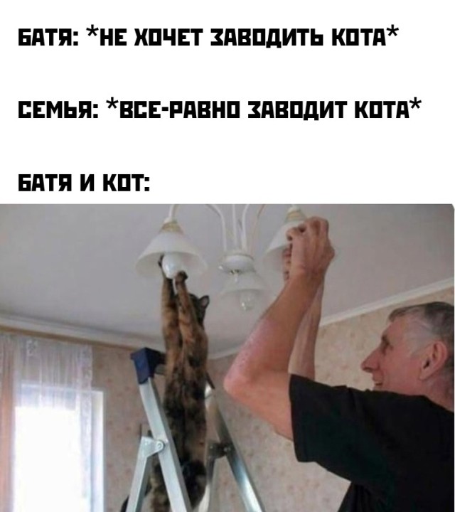 Подборка прикольных фото №2668 (28 фото)