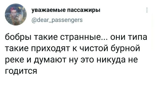 Подборка забавных твитов обо всем (15 фото)