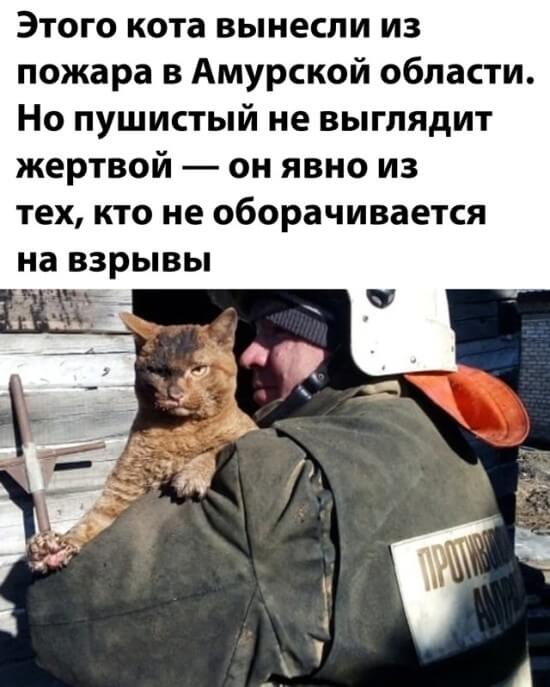 Подборка прикольных фото №2666 (30 фото)