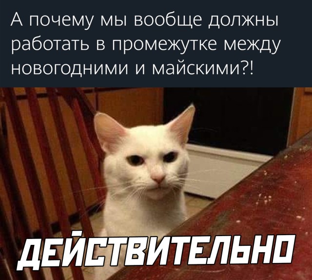 Подборка прикольных фото №2670 (29 фото)