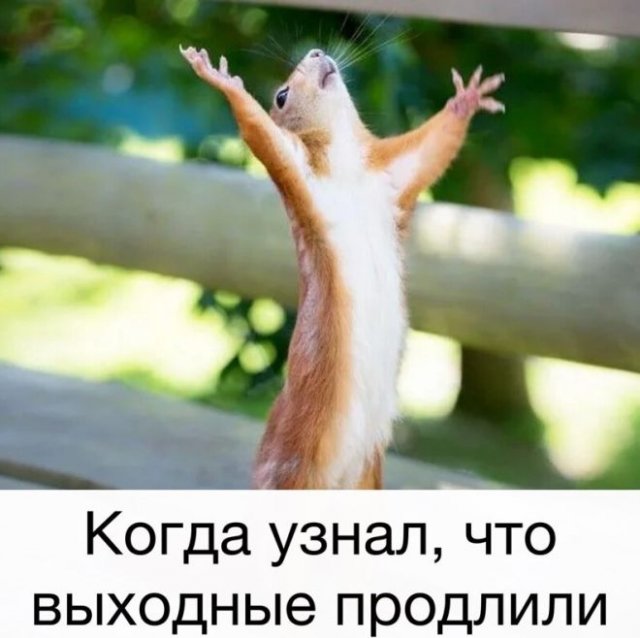 Что россияне говорят про выходные дни с 1 по 11 мая (13 фото)