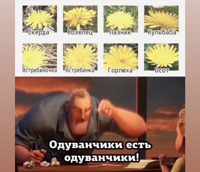 Шутки и мемы из Сети (15 фото)