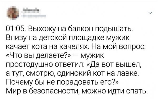 Подборка забавных твитов о котах (20 фото)