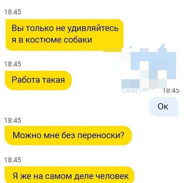 Странные и смешные переписки пассажиров с водителями такси (16 фото)