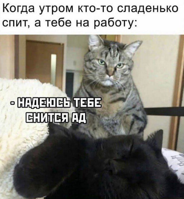 Шутки и мемы из Сети (11 фото)