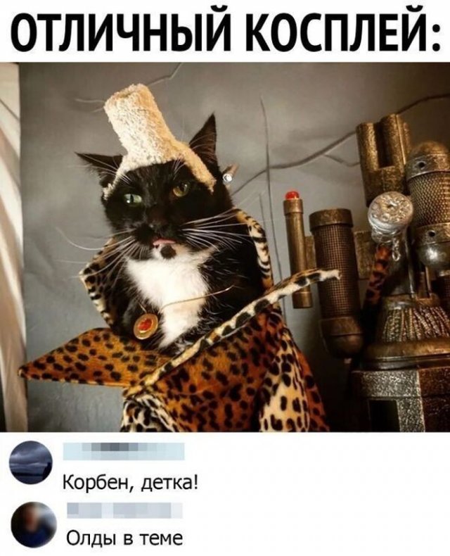 Смешные комментарии к постам в социальных сетях (15 фото)