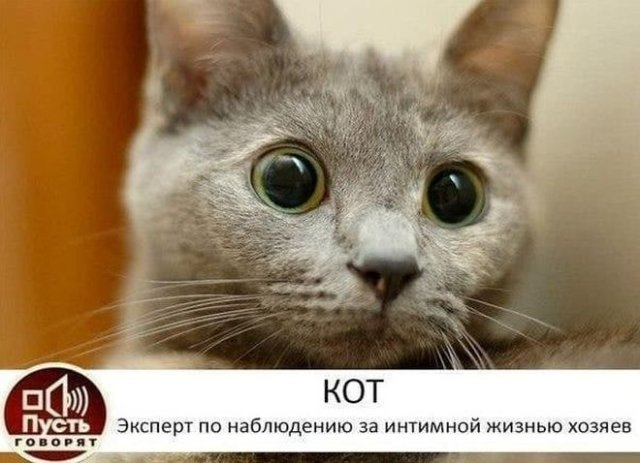 Мемы и приколы про "это" (15 фото)