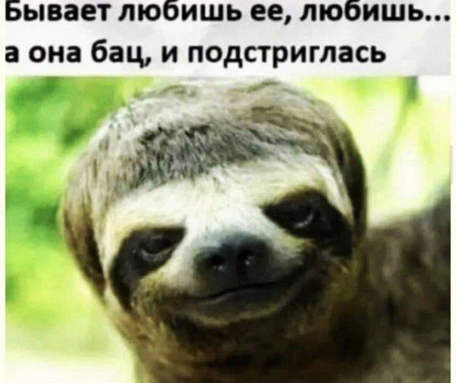 Лучшие шутки и мемы из Сети (15 фото)