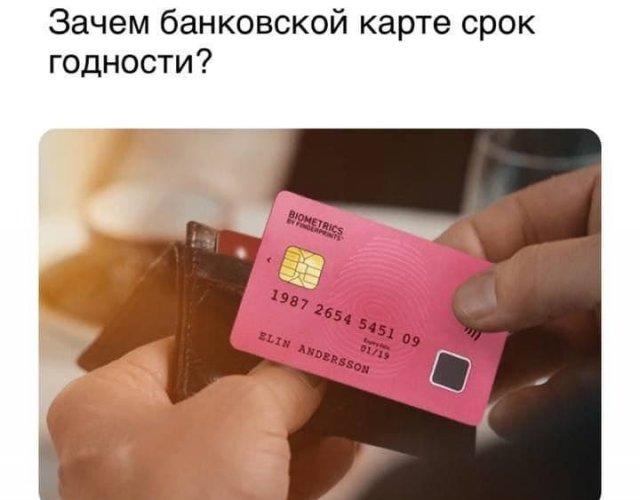 Вопросы и рассуждения от людей, которые плохо учились в школе (15 фото