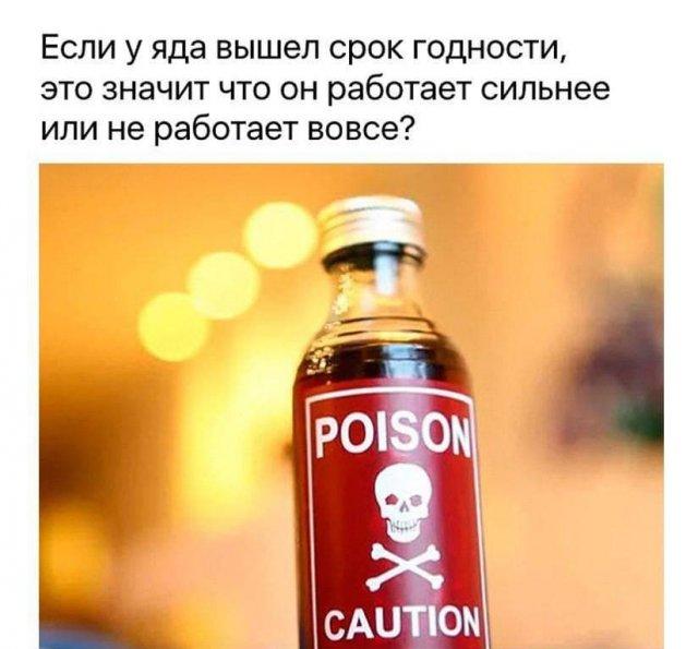 Вопросы и рассуждения от людей, которые плохо учились в школе (15 фото
