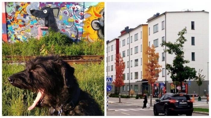 Снимки, момент для которых был подобран идеально (16 фото)