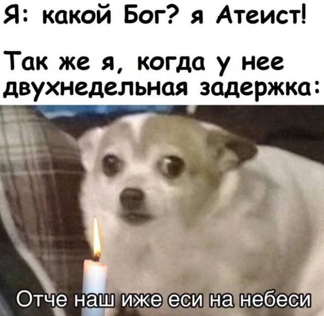 Мемы и приколы на "щекотливую" тему (13 фото)