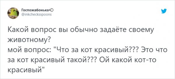 "О чем вы говорите со своими животными?": забавный тред (14 фото)