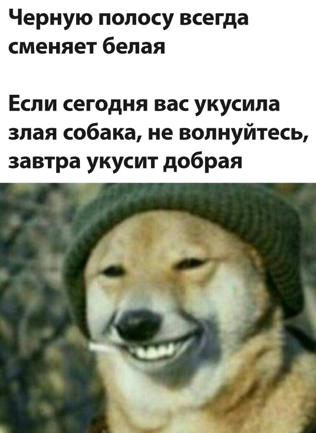 Подборка прикольных фото №2683 (30 фото)