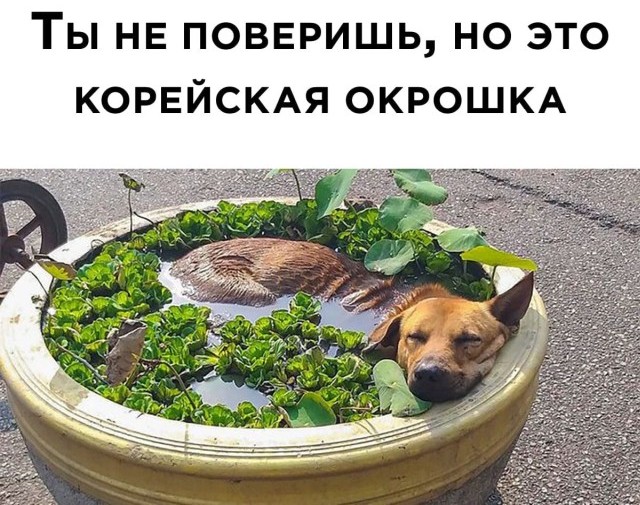 Подборка прикольных фото №2683 (30 фото)