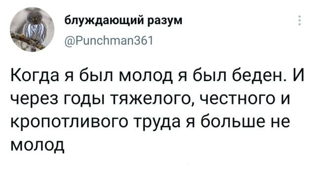 Подборка забавных твитов обо всем (15 фото)