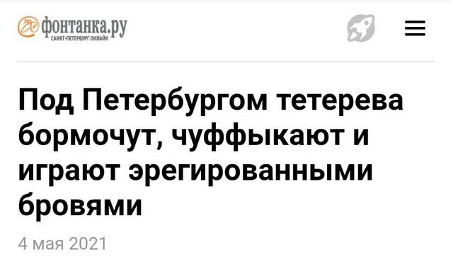 Забавные и интересные заголовки из СМИ (15 фото)