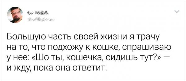 Подборка забавных твитов (16 фото)