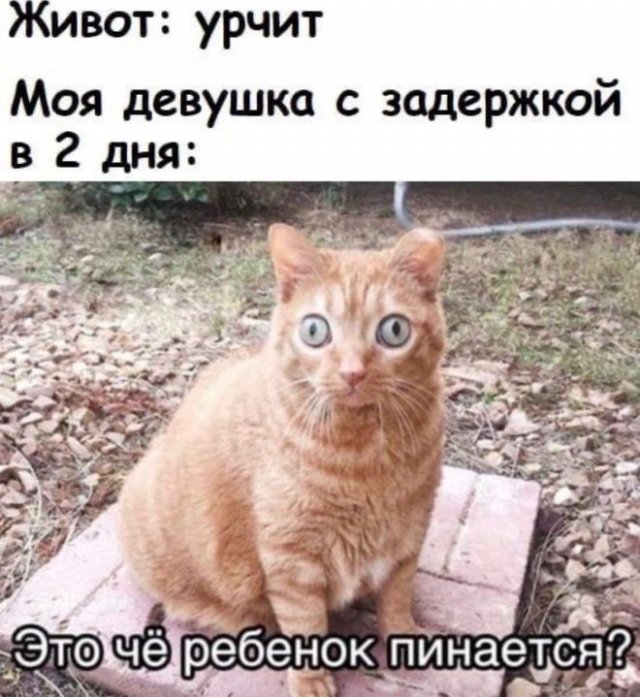 Мемы и приколы про "это" (15 фото)
