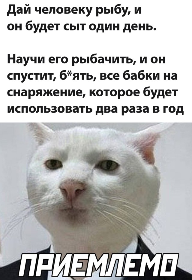 Подборка прикольных фото №2687 (30 фото)