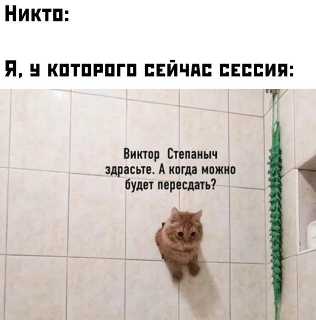 Подборка прикольных фото №2687 (30 фото)