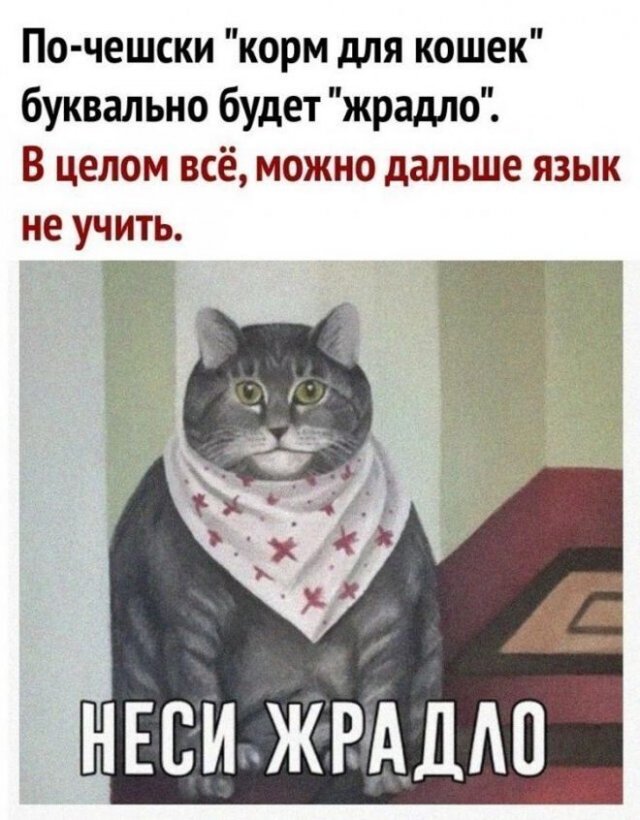 Смешные комментарии и переписки из социальных сетей (15 фото)