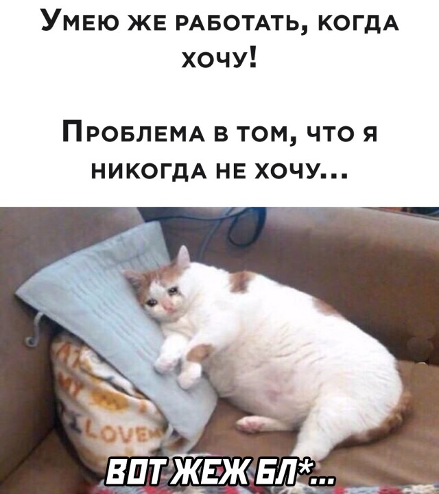 Подборка прикольных фото №2689 (29 фото)
