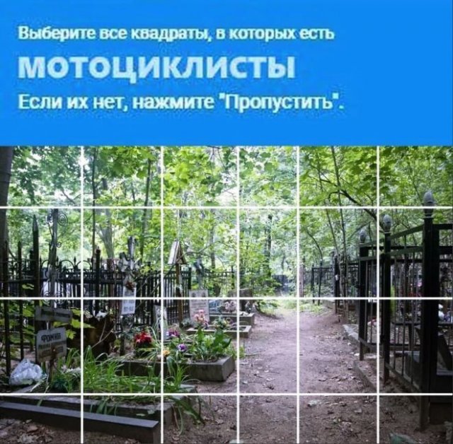 Странный и черный юмор (15 фото)