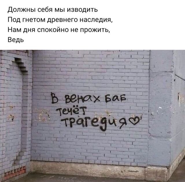 Рифмы из социальных сетей (14 фото)