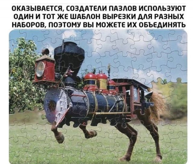 Забавные вопросы и рассуждения от пользователей (15 фото)