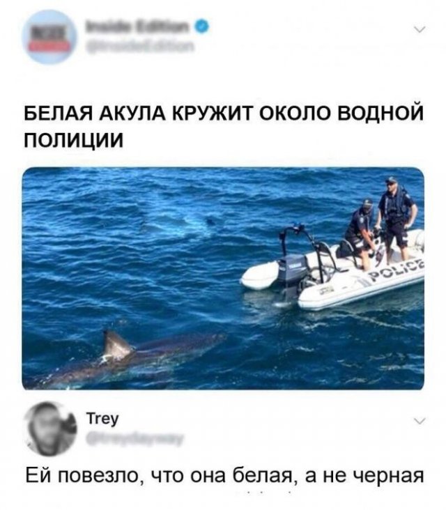 Черный юмор (20 фото)