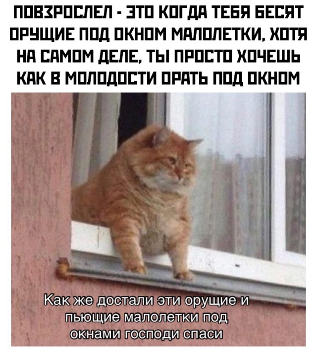 Подборка прикольных фото №2698 (30 фото)