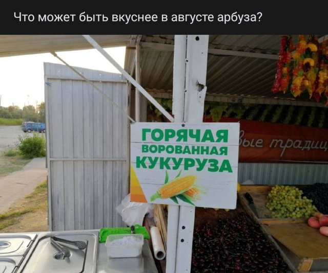 Рифмы из социальных сетей (14 фото)