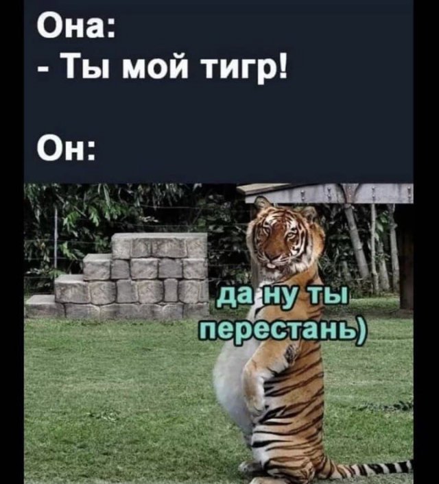 Лучшие шутки и мемы из Сети (15 фото)
