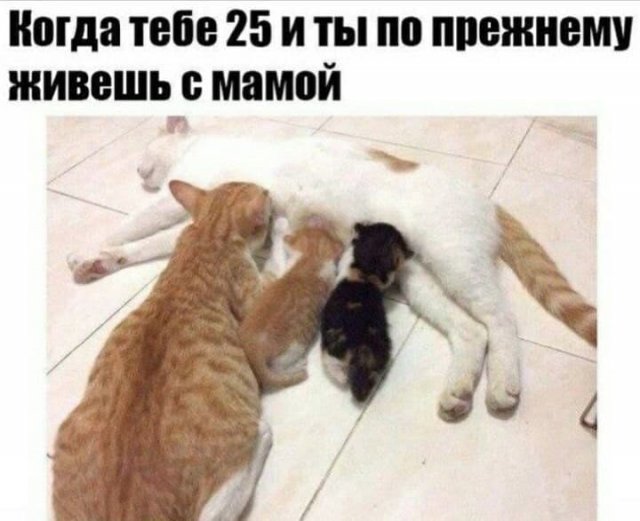 Истории и мемы про "яжматерей" и детей (15 фото)