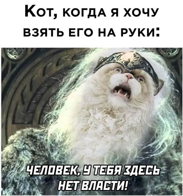 Подборка прикольных фото №2708 (30 фото)