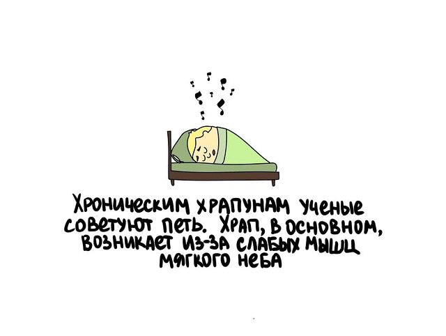 Интересные факты на все случаи жизни (15 фото)