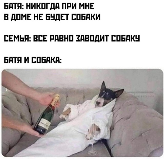 Подборка прикольных фото №2709 (29 фото)