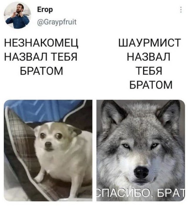 Шутки и мемы из Сети (15 фото)